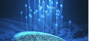 digital-fingerprint-binary-id_295x138-1