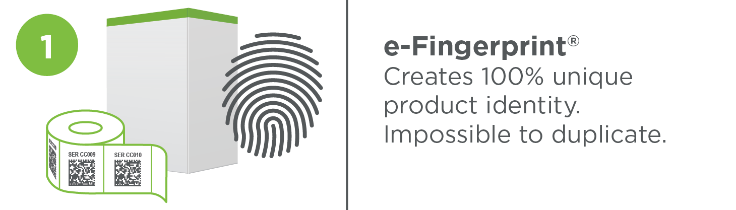 systech-offer-lp-graphics_1-e-Fingerprint